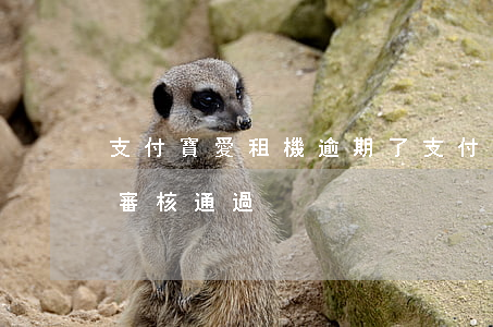 支付寶愛租機逾期了 支付寶的愛租機多久能審核通過