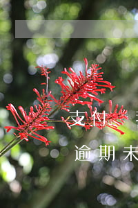 支付寶我沒逾期為什么不能借了 支付寶借錢逾期未還有什么后果