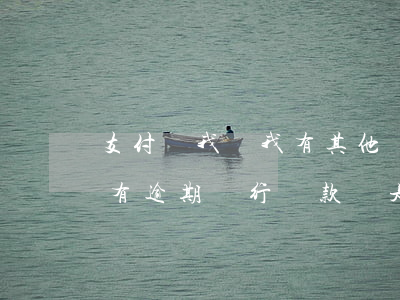 支付寶我說我有其他貸款逾期(為什么支付寶有逾期銀行貸款還是可以貸款)