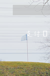支付寶或京東逾期-支付寶或京東逾期