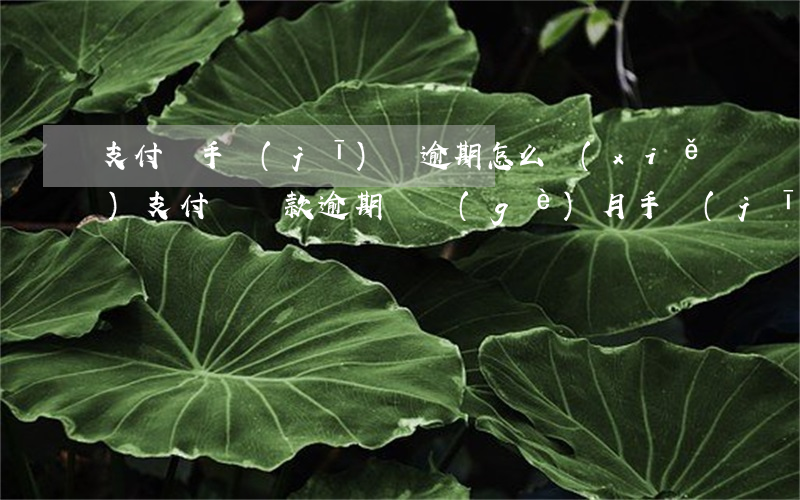 支付寶手機(jī)貸逾期怎么寫(xiě)(支付寶貸款逾期兩個(gè)月手機(jī)無(wú)法還款怎么辦)