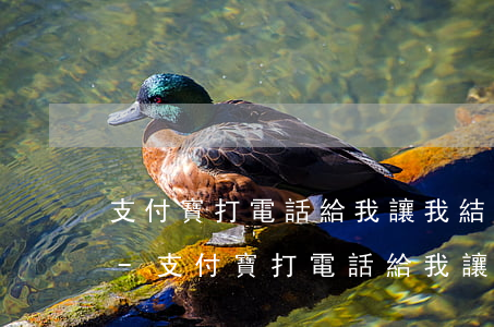 支付寶打電話給我讓我結(jié)清逾期-支付寶打電話給我讓我結(jié)清逾期怎么辦