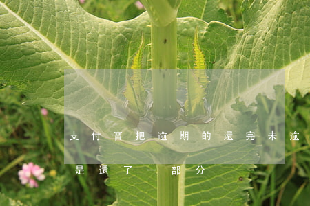 支付寶把逾期的還完未逾期的（支付寶逾期但是還了一部分）