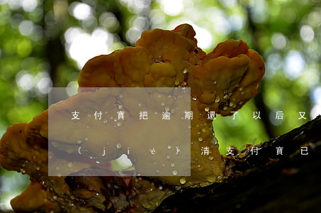 支付寶把逾期還了以后又要求把所有款都結(jié)清（支付寶已還完逾期還要求全部結(jié)清）