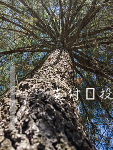 支付寶投訴成功被起訴