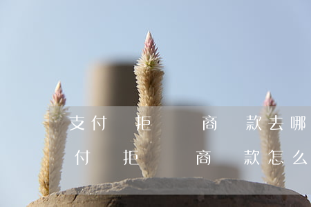 支付寶拒絕協商還款去哪里投訴最有用-支付寶拒絕協商還款怎么辦