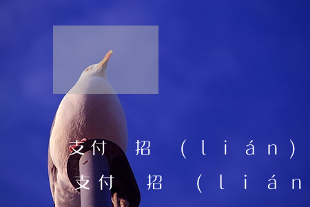 支付寶招聯(lián)好期貸逾期一天-支付寶招聯(lián)好期貸逾期一天