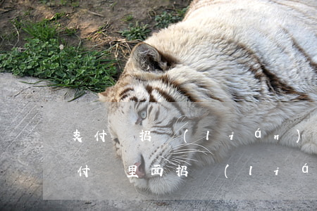 支付寶招聯(lián)好期貸逾期兩天(支付寶里面招聯(lián)好期貸逾期了)