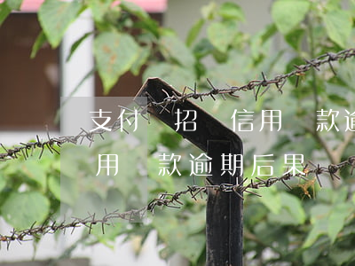 支付寶招聯信用貸款逾期后果(支付寶招聯信用貸款逾期后果)