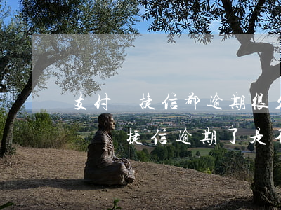 支付寶捷信都逾期很久還能網(wǎng)貸嗎(捷信逾期了是不是別的網(wǎng)貸都下不來了)
