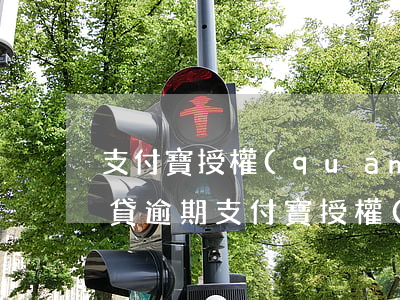 支付寶授權(quán)的網(wǎng)貸逾期(支付寶授權(quán)的網(wǎng)貸逾期沒還清記錄可以消除嗎?)