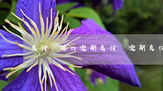 支付寶接口逾期 支付寶逾期支付不了