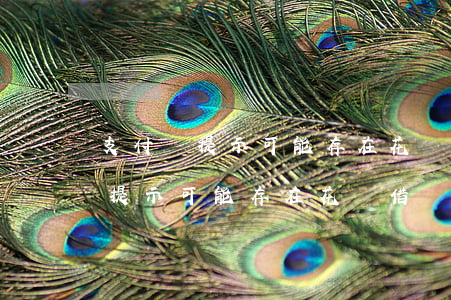 支付寶提示可能存在花唄借唄逾期-支付寶提示可能存在花唄借唄逾期怎么辦