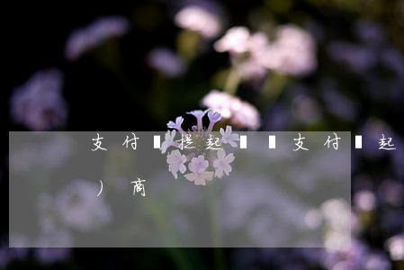 支付寶提起訴訟（支付寶起訴訴前協(xié)商）