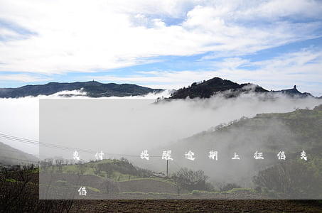 支付寶提醒逾期上征信(支付寶逾期后會上征信嗎)
