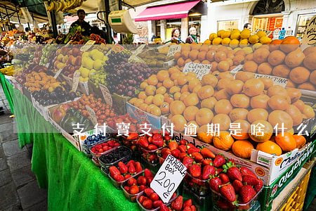 支付寶支付逾期是啥(什么叫支付寶逾期)