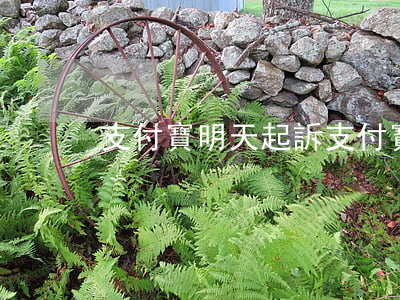 支付寶明天起訴 支付寶起訴時間