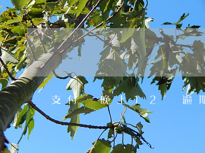 支付寶晚上12點逾期 支付寶逾期半個小時