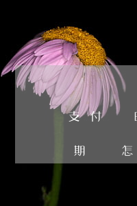 支付寶晚點付逾期半天有影響嗎-晚點付逾期會怎么樣