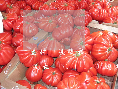 支付寶暖暖租機(jī)逾期多久（支付寶暖暖租機(jī)逾期多久）