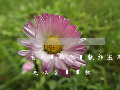 支付寶最低還款能逾期(支付寶逾期半個月了要求全額還款)