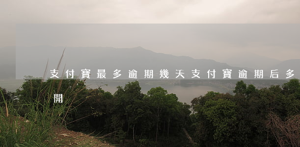 支付寶最多逾期幾天（支付寶逾期后多久可以開）