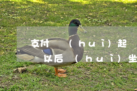 支付寶會(huì)起訴到單位嗎(支付寶起訴以后會(huì)坐牢嗎?)
