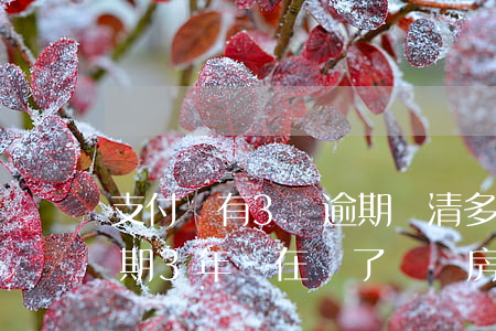 支付寶有3個逾期還清多久能賣房(支付寶逾期3年現在還了,對買房有影響嗎)