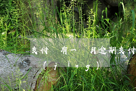 支付寶有一個月逾期(支付寶逾期一個月親身經(jīng)歷)