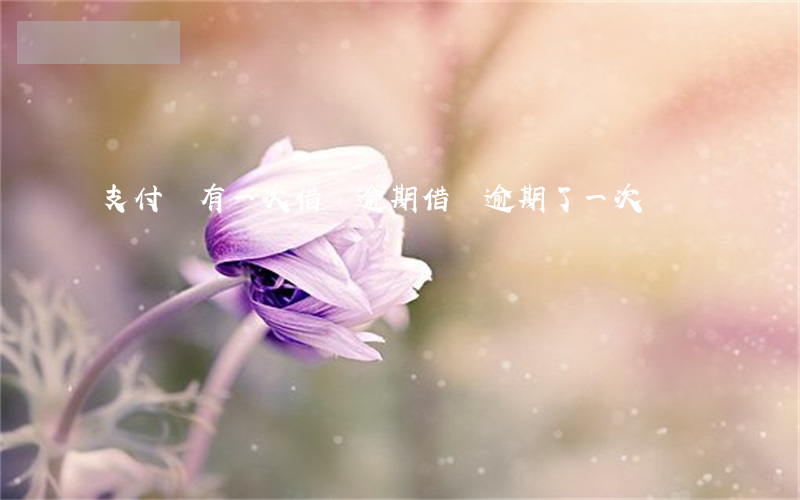支付寶有一次借唄逾期(借唄逾期了一次)