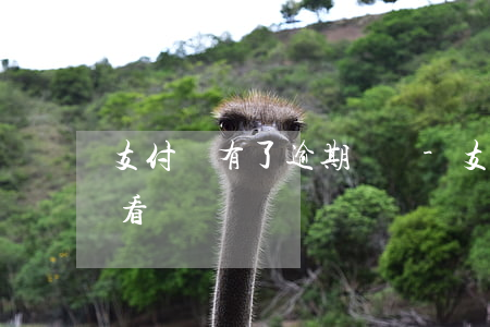 支付寶有了逾期記錄-支付寶逾期記錄怎么看