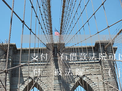 支付寶有借款法院可以凍結(jié)嗎(支付寶被法院凍結(jié)支付寶還不了借唄怎么辦)