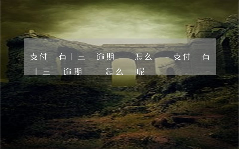 支付寶有十三個逾期記錄怎么辦-支付寶有十三個逾期記錄怎么辦呢