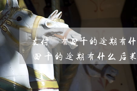支付寶有四千的逾期有什么后果-支付寶有四千的逾期有什么后果嗎