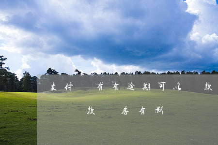 支付寶有有逾期可以貸款買房嗎(支付寶逾期對貸款買房有影響嗎)