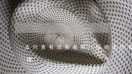 支付寶有沒有逾期一年的（支付寶逾期一年沒還）