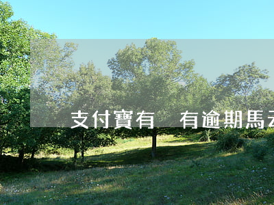 支付寶有沒有逾期（馬云說支付寶可以逾期）