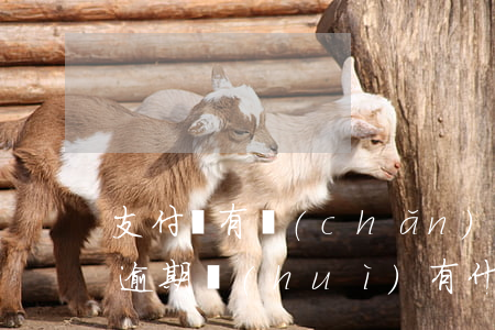 支付寶有產(chǎn)品逾期行為 支付寶逾期會(huì)有什么大問(wèn)題嘛?
