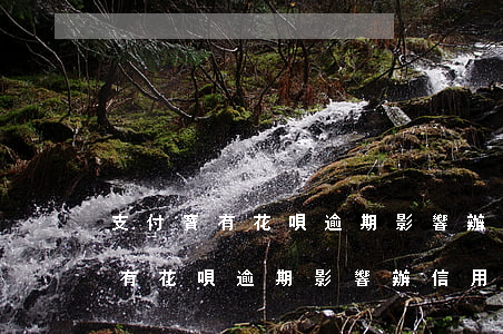 支付寶有花唄逾期影響辦信用卡嗎-支付寶有花唄逾期影響辦信用卡嗎知乎