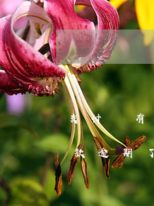支付寶有逾期借其他平臺(tái) 其他貸款逾期了支付寶還能借錢(qián)出來(lái)嗎