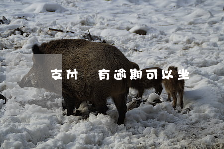 支付寶有逾期可以坐飛機(jī)嗎