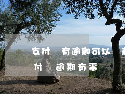 支付寶有逾期可以貸款買房嗎（名下有房貸支付寶逾期有事嗎）