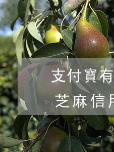 支付寶有逾期后芝麻信用分(支付寶有逾期后芝麻信用分)