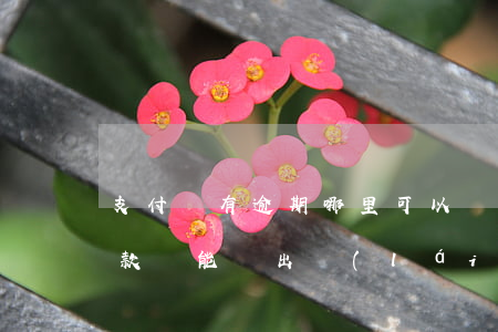 支付寶有逾期哪里可以貸款嗎(支付寶逾期貸款還能貸出來(lái)么)