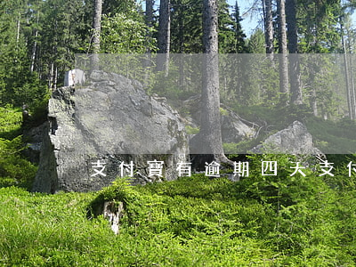 支付寶有逾期四天 支付寶逾期四十天