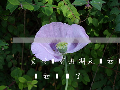 支付寶有逾期天貓初審過了(支付寶有逾期天貓初審過了)