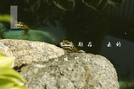 支付寶有逾期,存進去的錢會被秒扣嗎（支付寶逾期后被秒扣）