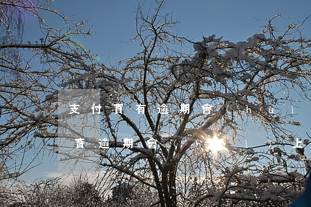 支付寶有逾期會(huì)在征信上嗎(支付寶逾期會(huì)上征信嗎?)