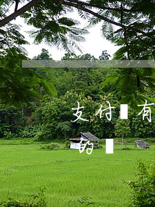 支付寶有逾期沒還能做抵押嗎 有支付寶逾期的嗎