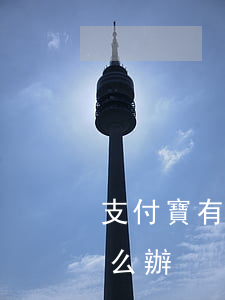 支付寶有逾期的記錄-支付寶有逾期記錄怎么辦